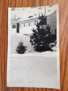 Frazier Park Cabin 1940's