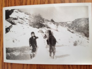 Winter at Frazier Park