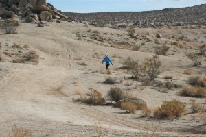 But Mostly Rocks, Sagebrush and Desert Sand