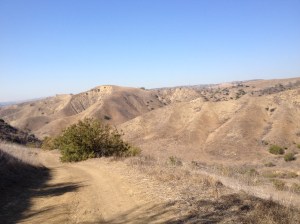 Miles and Miles of Trails and Dirt Roads