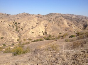 Chino Hills State Park