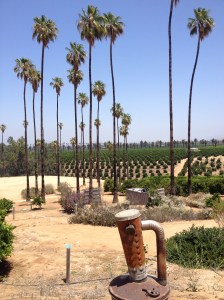 A smudge pot beside a winding trail leading from the visitors' center to an overlook of orange groves.